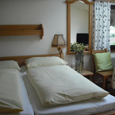 Hotel Garni Botenwirt Spital Am Pyhrn